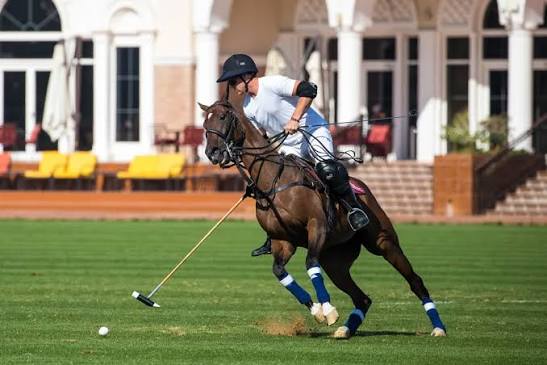 Polo