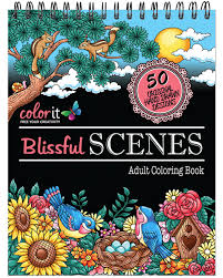 Rising high above the land, mountains have steep slopes and high ridges, covered in pine trees or snow. Buy Spiral Bound Anti Stress Adult Coloring Book With 50 Scenery Coloring Pages Printed On Artist Quality Coloring Paper By Colorit 1 Book Online At Low Prices In India Spiral Bound Anti Stress Adult Coloring Book