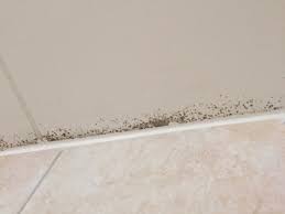 Image result for site:byggahus.se badrumstak