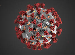 Mit beispiellosen grundrechtseinschränkungen wollen bund und länder die ausbreitung des coronavirus. Aktuelle Informationen Zur Corona Pandemie Lsvbw