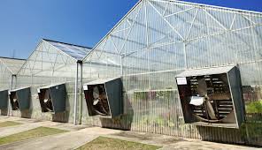 We did not find results for: The Importance Of Ventilating Your Greenhouse Qc Supply