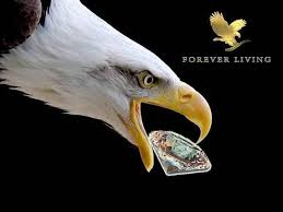 Pin By Bottan Traore On Forever Zugliget Forever Living Products Forever Living Business Forever Products