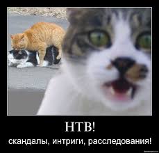 [Изображение: images?q=tbn:ANd9GcRPBiX2TPG2LMeJgO8IeOw...GhFNYMUPnQ]