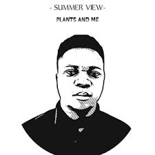 Bikeshare Insights: Summer in the Windy City