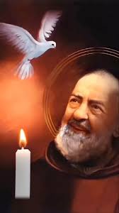 SÉPTIMO DÍA DE LA NOVENA A NUESTRA SEÑORA DEL CARMEN Deslice para ver cada  oración de la novena: 1. Acto de Contrición 2. Oración Inicial 3. Oración  del séptimo día 4. Jaculatoria