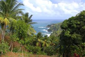 Die weiße bevölkerung herrschte über die einheimische schwarze. Dominica In Der Karibik Das Zauberhafte Inselparadies Urlaubsguru