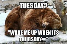 Dear tuesday, nobody likes you either. 160 Tuesday Quotes And Memes Ideas Tuesday Quotes Tuesday Good Morning Tuesday