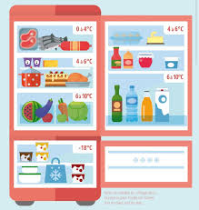 Comment Bien Ranger Les Aliments Dans Son Refrigerateur