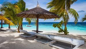 At avis budget group, we're looking for people as passionate about cars as we are. Alerte Job De Reve Tester Des Iles Des Yachts Des Villas Pour 85 000 Euros Par An