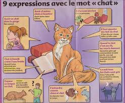 Expressions Idiomatiques Avec Le Mot Chat Remue Meninges Fle Expressions Idiomatiques French Expressions Expressions
