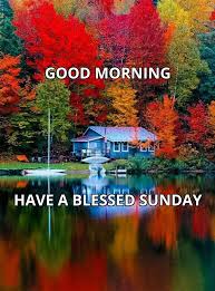 Best good morning happy rainy day. Nature Sunday Images Nature Good Morning Happy Sunday Novocom Top