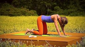 Where to download rodney yees yoga for beginners free download. Watch Rodney Yee S A M P M Yoga For Beginners Online Full Episodes Of Season 3 To 1 Yidio