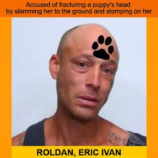 ERIC IVAN ROLDAN arrested for fracturing a puppy's head by slamming her to  the ground and stomping