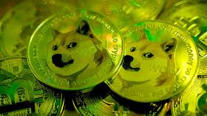 2021 will be an explosive year for these top 10 cryptocurrencies!. Bitcoin Dogecoin Crypto And The Era Of Meme Stock Investing Vox