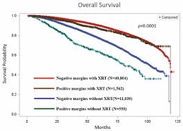 This rim is called a margin. Radiation Therapy For Positive Surgical Margins In Women 70 Years With Stage I Estrogen Receptor Positive Breast Cancer Anticancer Research