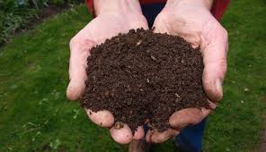 Quelle Est La Difference Entre Le Terreau Et Le Compost Blog Jardinage