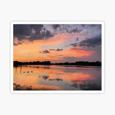 Little Creek Ducks in a Row" Sticker for Sale by Abby DuBose