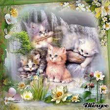 Download the most adorable kitten pictures and images for free! Spring Cats Cute Kittens Fan Art