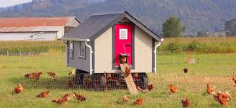 How to start a chicken coop. How To Start A Chicken Coop Everything You Need To Know