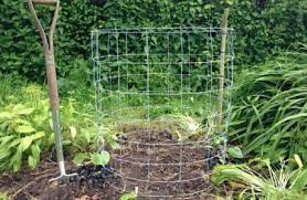 Explore our huge selection today! Growing Pumpkins Squashes Vertically Permaculture Magazine