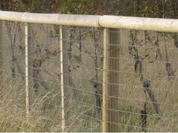 I wanted to complete all challenges and. Galvanised Horse Fencing Mesh 4ft High Non Climb Rigid Stay Fence Knotted Wire