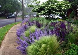 Pin By Young Kim On Gardens In 2021 Front Garden Landscape Front Yard Landscaping Lawn Alternatives