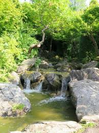 Große buchsbaumkugeln rahmen die kiesfläche ein. Im Japanischen Garten Bild Von Rheinaue Bonn Tripadvisor
