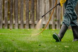 When it comes to lawn care, one health issue can easily snowball into a long string of problems. Why Should You Choose All Natural Lawn Care Hometurf
