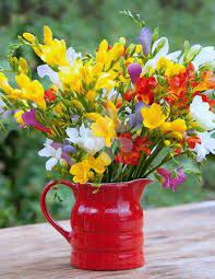 Beautiful Colours Freesia Flowers Fragrant Flowers Beautiful Flower Arrangements