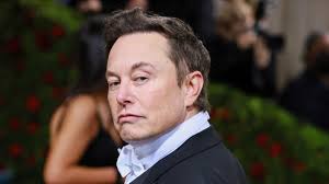 Twitter Users Vote for Elon Musk to Step Down, He Will "Abide"