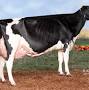 Profile Picture of Kelli Cull Archives - Mid-West Farm Report (@midwestfarmreport.com) on Google