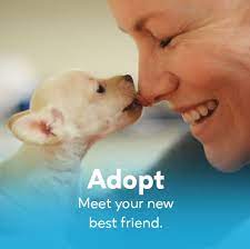 Mesa grande animal clinic is a full service animal clinic. Rio Rancho Animal Friends Home Facebook