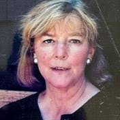 David Meisel's Instagram, Twitter & Facebook