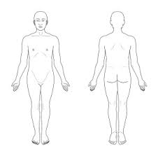 Anatomy of human skin layers. Cardinal Planes And Axes Of Movement Physiopedia