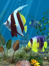Animated Wallpapers Screensavers For Cellphones 240x320 Aquarium Live Wallpaper Fish Screensaver Live Fish Wallpaper