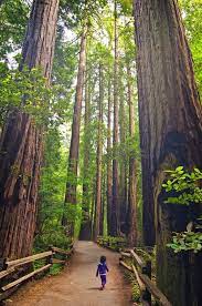 Pin By Melanie Summers On Nature Places To Travel Places To Visit Places To Go