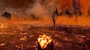 Maybe you would like to learn more about one of these? California S Largest Wildfire Of The Year Raging As Heat Wave Continues Abc News