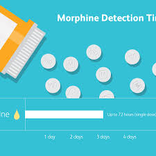 So i just found out that even tho i stopped smoking at 32 weeks my baby's umbilical cord still. How Long Does Morphine Stay In Your System