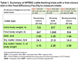 high fiber cotton and peanut byproducts aid free choice