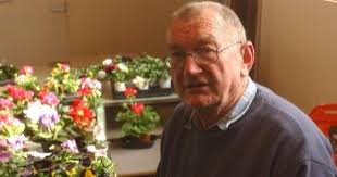 Devoran Flower Show success