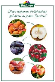 Obst Must Haves Fur Deinen Garten Garten Zwergobstbaume Erdbeeren Pflanzen
