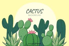 Cactus pop up card is such an adorable and meaningful gift for your family and friends. Cartoon Cactus Background Free Vector On Freepik
