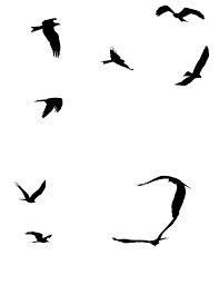 Bird In Flight Silhouette Stock Pictures Silhouettes Of Birds In Flight Clipart Best Clipart Best Flying Bird Silhouette Marine Bird Birds In Flight
