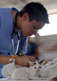 We provide the best service and high quality products for your dog, cat, birds, fish, a. Affordable Veterinary Care In Rhode Island That Wants To Help You Low Income Relief