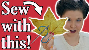 How to Preserve Autumn Leaves with Vegetable Glycerine: A Step-by-Step  Guide