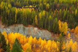 We have equipment suited to all aspects of outdoor life for both the novice and expert, so whether you're a walker, camper, trekker, paddler, hunter or woodsman we'll have something for you. Tamarack Communication