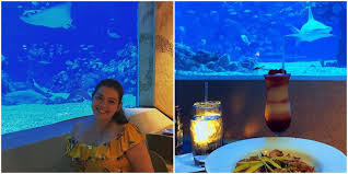 209 reviews of sharks underwater grill if you are going to eat at seaworld, you need to do it here. Disney World Orlando S Coral Reef Restaurant Lets You Dine Under The Sea With Marine Life Narcity