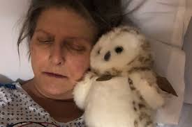 Fundraiser for Paul Bilodeau by Sean Greger : Paul and Kris need our help