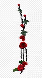 How to kill vines that have thorns step 1. Garden Roses Thorns Spines And Prickles Plant Stem Vine Png 529x1510px Garden Roses Art Black Cut