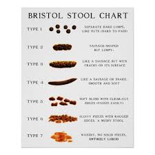 Stool Chart